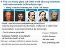 Cell Theory Scientists