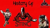History of the Arizona Sting - YouTube