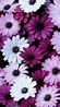 Pin by Michelle Carney on Flowers Aplenty | Purple wallpaper, Tumblr ...