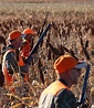 South Dakota Pheasant Opener Hunts - Buffalo Butte Ranch