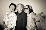 Steve Lukather, Joe Walsh, Todd Rundgren | Steve, Todd rundgren, Ringo ...