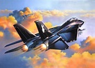 Grumman F-14 Tomcat Wallpaper HD Download