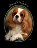 Mayfield Showdogs | Mayfieldcavaliers Show dogs and Cavalier Puppies