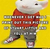 WHENEVER I GET MAD I PRINT OUT THIS PICTURE OF STUART LITTLE AND YELL ...