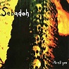Sebadoh - It's All You | Releases, Reviews, Credits | Discogs