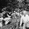 1 Maarten Kappelle (left) and Leslie (Les) R. Holdridge (1907– 1999) in... | Download Scientific ...