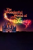 The Wonderful World of Disney (TV Series 1997-2008) — The Movie ...