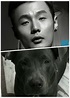 我是比特犬界的李榮浩 | 寵物明星臉 | ETtoday新聞雲