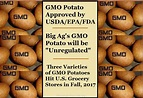 GMO Potatoes Coming Fall 2017 – Chemical Free Life