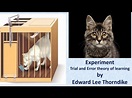 Trial and error theory experiment II cat experiment II Puzzle box by ...