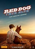 RED DOG: True Blue - First Teaser Trailer - Roadshow Films - Impulse Gamer