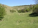 Blind Valley at Steps Hill © Geoff Harris cc-by-sa/2.0 :: Geograph ...