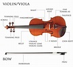 3 Tips for the proper maintenance of violin and viola