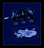 ESA - 3D map of dark matter as seen by Hubble