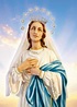 L’Assomption de Marie au Ciel – Magnificat
