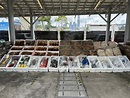 海關檢1500公斤走私龍蝦冰鮮海產 市值400萬元 - 新浪香港