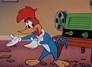 The Woody Woodpecker Show (1940)