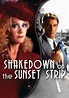 Shakedown on the Sunset Strip (DVD) - Walmart.com