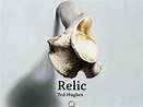 'Relic' by Ted Hughes - Study Guide | Teaching Resources