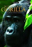 Mountain Gorilla (TV Series 2010-2010) - Posters — The Movie Database ...