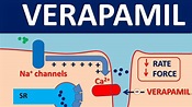 Verapamil || Mechanism, side effects and uses - YouTube