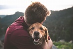 How to Tell if Your Dog Loves You | Avoderm Natural