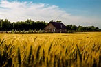 Free picture: farmland, farm, farmhouse, farming, agriculture ...