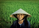 The New Humanitarian | From rice to shrimps and ginger - adapting to ...
