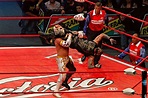 Lucha Libre AAA quiere usar los eSports para promover cultura mexicana ...