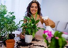 10 consejos para cuidar plantas de interior | Sabater Trenard