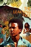 ‎The Learning Tree (1969) directed by Gordon Parks • Reviews, film ...