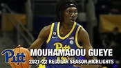 Mouhamadou Gueye Regular Season Highlights | Pittsburgh Forward - YouTube
