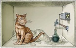 Ученые создали кошачьи состояния Шредингера с 20 квантовыми битами ...