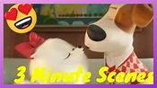 Max and Gidget Finally Get Married!The secret life of pets 2. - YouTube