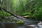 Nature photography - Wikipedia