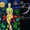 Sky Cries Mary - Moonbathing on Sleeping Leaves Lyrics and Tracklist ...