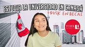 BECAS para ESTUDIAR la UNIVERSIDAD en CANADÁ 🇨🇦 YORK UNIVERSITY en ...