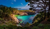 Point Lobos SNR – China Cove Beach in Carmel, CA - California Beaches
