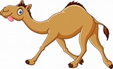 Dibujos animados divertido camello corriendo | Vector Premium