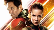 ‎Ant-Man and the Wasp (2018) directed by Peyton Reed • Reviews, film ...