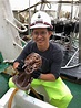 超巨新物種！印尼深海發現「50公分海蟑螂」 震撼模樣曝 | 國際 | 三立新聞網 SETN.COM