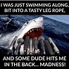 65 Most Funniest Surfing Memes Images, Gifs & Pictures - PICSMINE