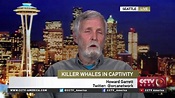 Howard Garrett on the SeaWorld announcement | Orcas in captivity, Sea ...