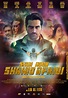 Main Hoon Shahid Afridi (2013) - DVD PLANET STORE