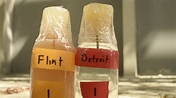 Poisoned Democracy: How an Unelected Official Contaminated Flint’s ...