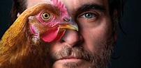¿Qué tenemos en común con las gallinas? – La Bestia Divina