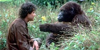 Monkey Business: 10 Best Monkeys In Movie History, Ranked