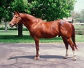 Salute To The Greatest Horse Ever…Secretariat! | THE B.S. REPORT
