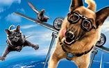 猫狗大战2：珍珠猫复仇-电影-高清正版在线观看-bilibili-哔哩哔哩