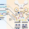 Frankfurt Airport Terminal Map | Helderateliers